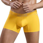 CLEVER - Ref.1658CL0 - Boxer Imagination Clever