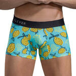 CLEVER - Ref.1686CL0 - Boxer Lemons Clever